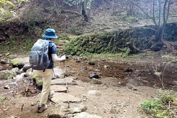 ロックガーデン