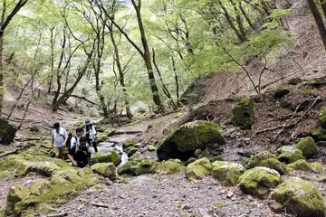 ロックガーデン