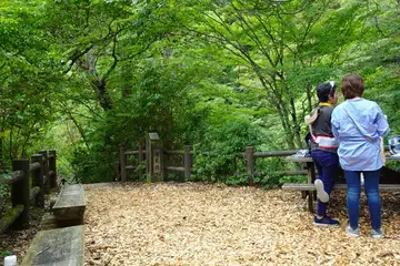 三頭ノ大滝のベンチ
