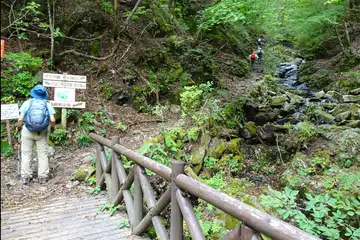三頭沢沿いの登山道