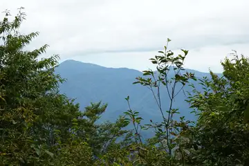三頭山から雲取山
