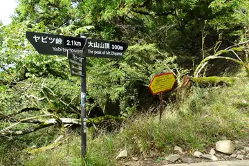 ヤビツ峠の分岐