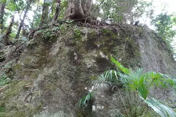 石老山の仁王岩