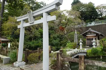 斟珠寺の弁天池