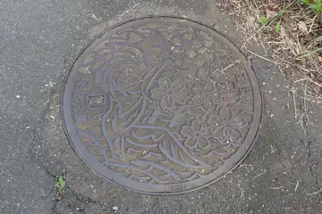 都立公園のマンホール