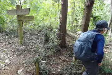 お伊勢山遊歩道