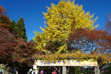 天空のもみじ祭り
