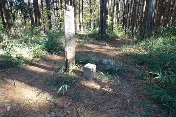 阿須山の山頂