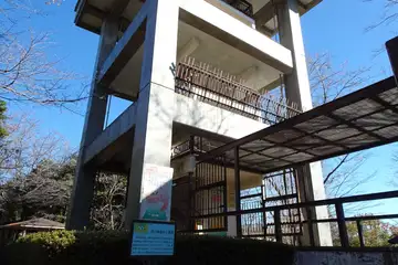 桜山展望台