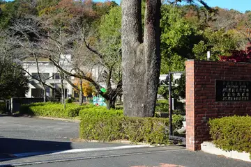 武蔵野音楽大学