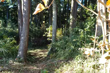 勝沼城の小曲輪の堀