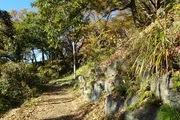 総合運動公園