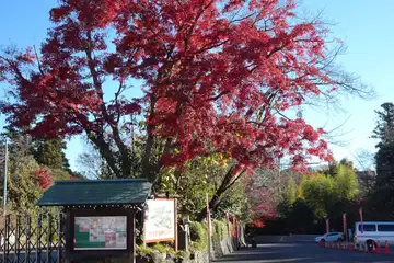 白旗稲荷に真っ赤な紅葉