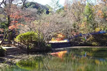 震生湖
