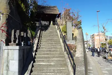 泥牛庵の山門