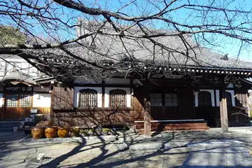 泥牛庵の本堂