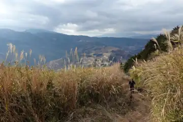 大野山のカヤトの斜面