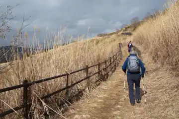 大野山のカヤトの登り