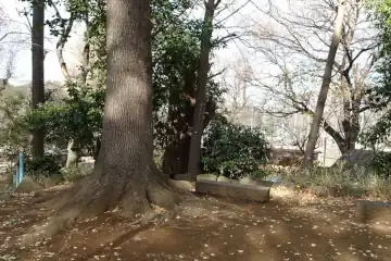 上野公園の摺鉢山