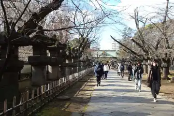 上野東照宮の参道