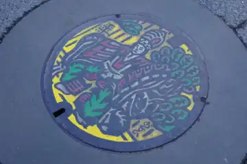 八王子の汚水カラーマンホール
