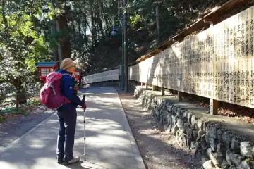 高尾山の奉納杉苗