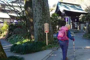 高尾山のふじ道
