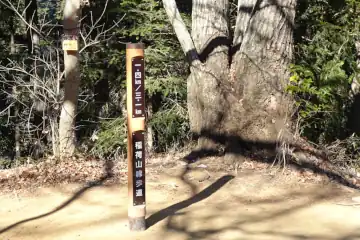 高尾山の稲荷山から都心の展望