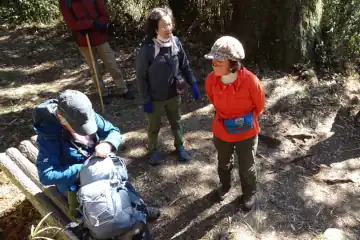 富山南峰直下にベンチ