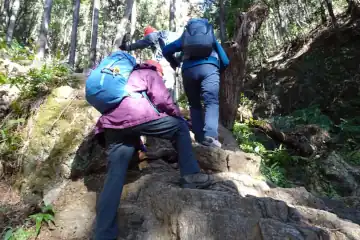 日和田山の岩っぽい男坂