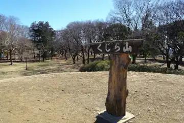 野川のくじら山