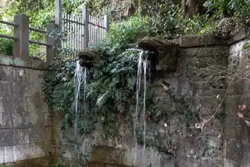 深大寺の不動の滝