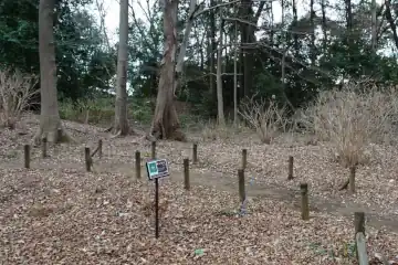 深大寺城の１郭