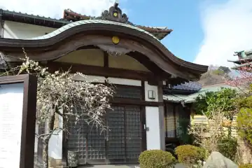 長善寺の本堂わきに庫裏