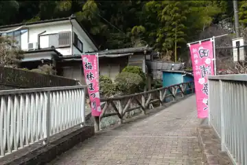 田浦梅まつりののぼり
