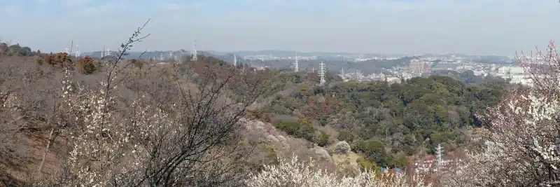田浦梅園の梅まつり
