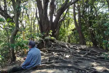 三浦アルプスの乳頭山