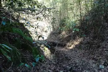 三浦アルプスの小附沢分岐
