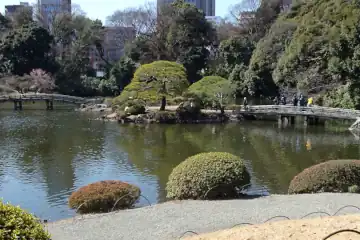 新宿御苑の日本庭園上の池