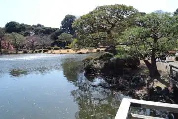 新宿御苑の上の池中島