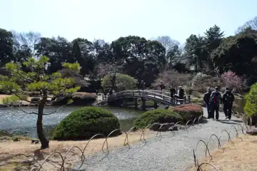 新宿御苑の上の池にはたくさんの観光客