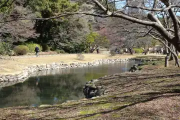 新宿御苑の流れに沿って遊歩道