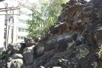 鳩森八幡神社の富士塚に溶岩のような岩山