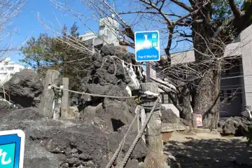 鳩森八幡神社の富士塚の山頂