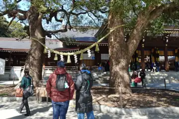明治神宮の夫婦楠
