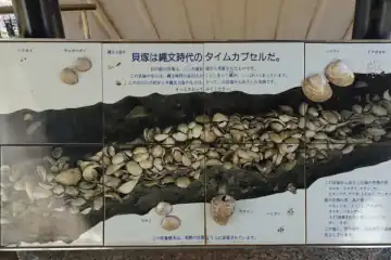 大森貝塚遺跡庭園の貝塚