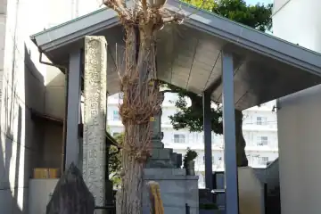 妙光寺の境内