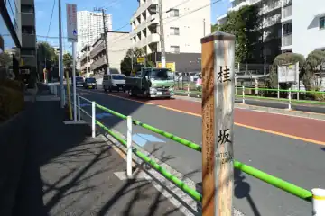 桂坂