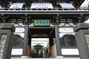 青松寺の山門