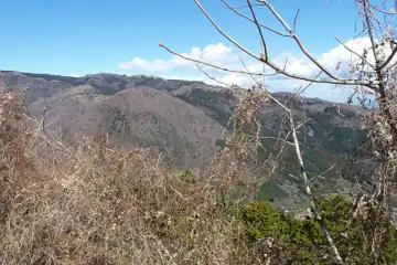 城山山頂から幕山の展望